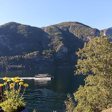 Otnes Sor Apartment Aurland Luaran gambar
